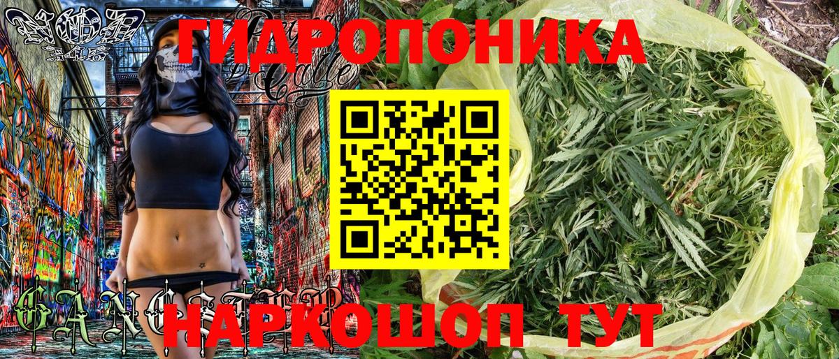 Каннабис White Widow  Конопля Amnesia  Шишки марихуана LSD WEED  Магадан  Вход с VPN  Конопля планчик 